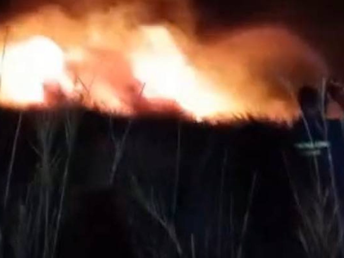 Λήμνος: Φωτιά σε εξέλιξη μεταξύ Λύχνων – Ρεπανιδίου