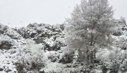 magevoun-i-ikones-apo-ta