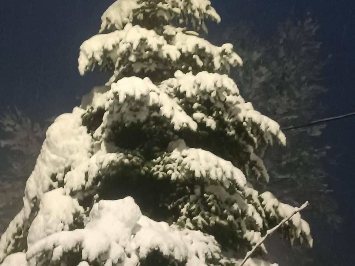 Μαγικές εικόνες του χιονιά στα ορεινά Τρίκαλα