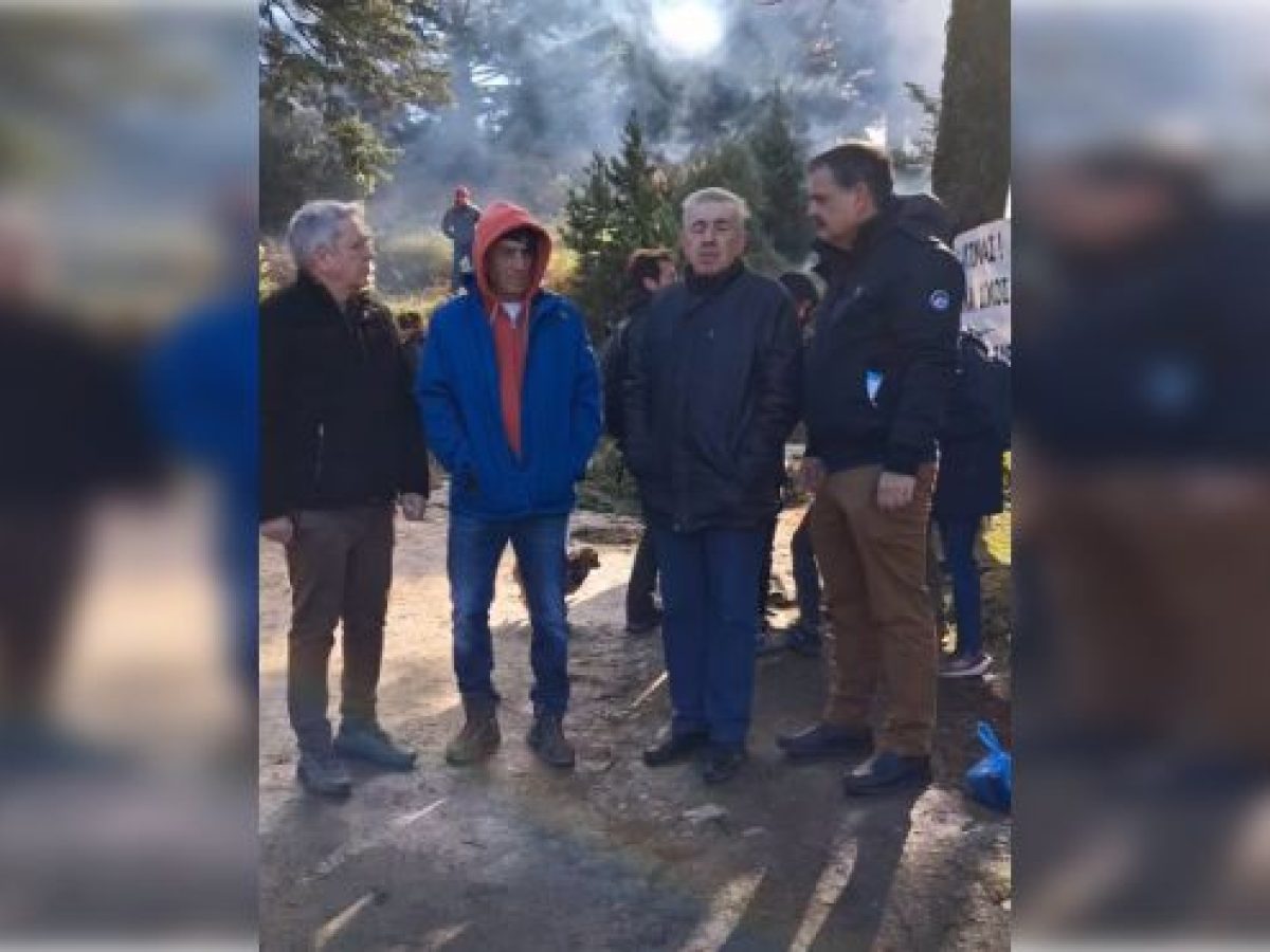 Μάκαρης-Φαράντος | SOS από τον Πάρνωνα – «Αδιανόητη» η καταστροφή στην καρδιά του ελατοδάσους