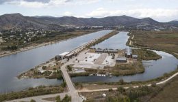 marathonas-olimpiako-kopilatodromio-schinia-&ndash;