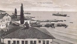 martiria-konstantinou-fotiadi-osi-apo-1