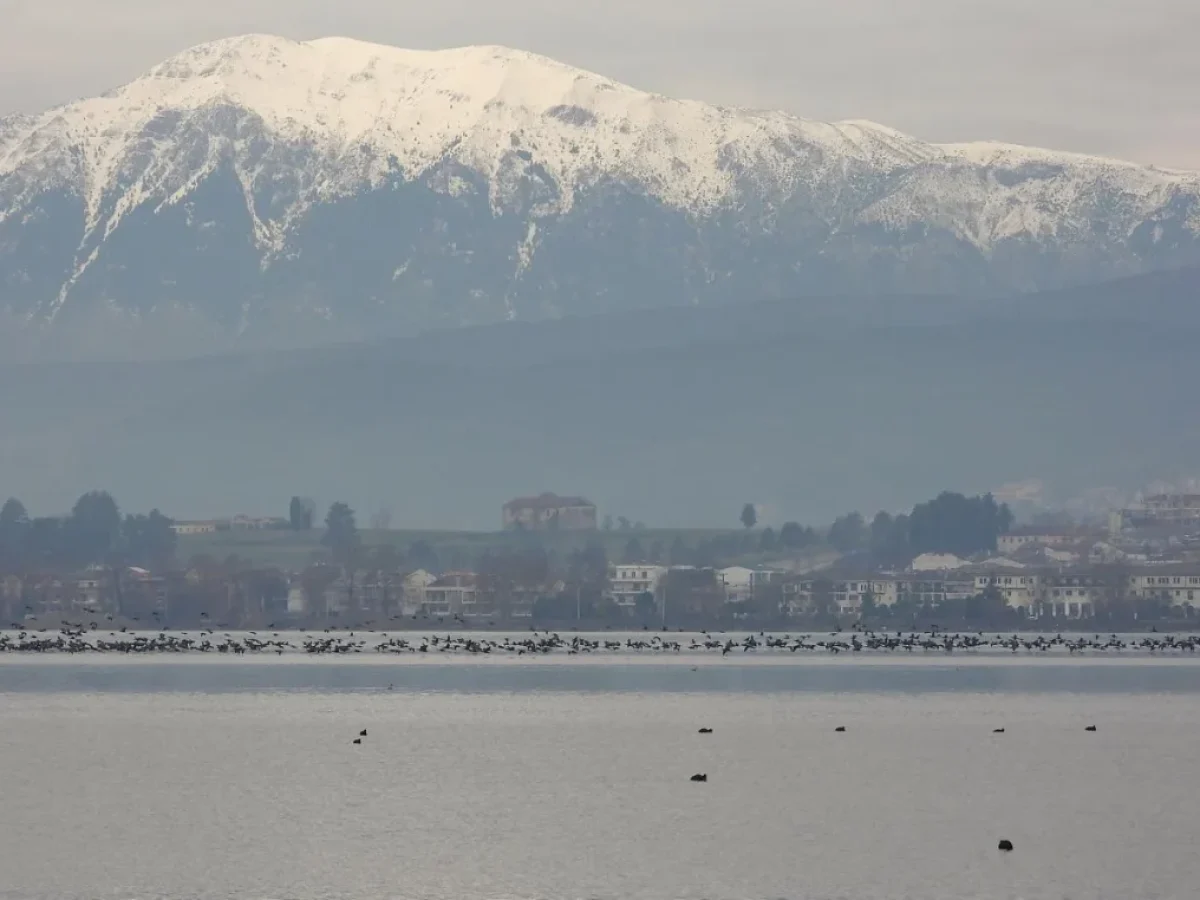 Μαθητές γνωρίζουν τα λιμνία της Παμβώτιδας στο Μουσείο Αργυροτεχνίας