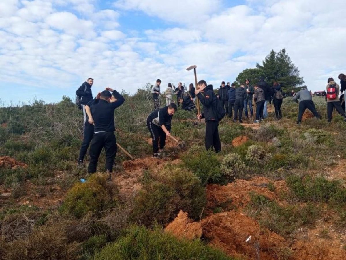 Μαθητική αναδάσωση στην Αχλαδούλα Αγίου Στεφάνου