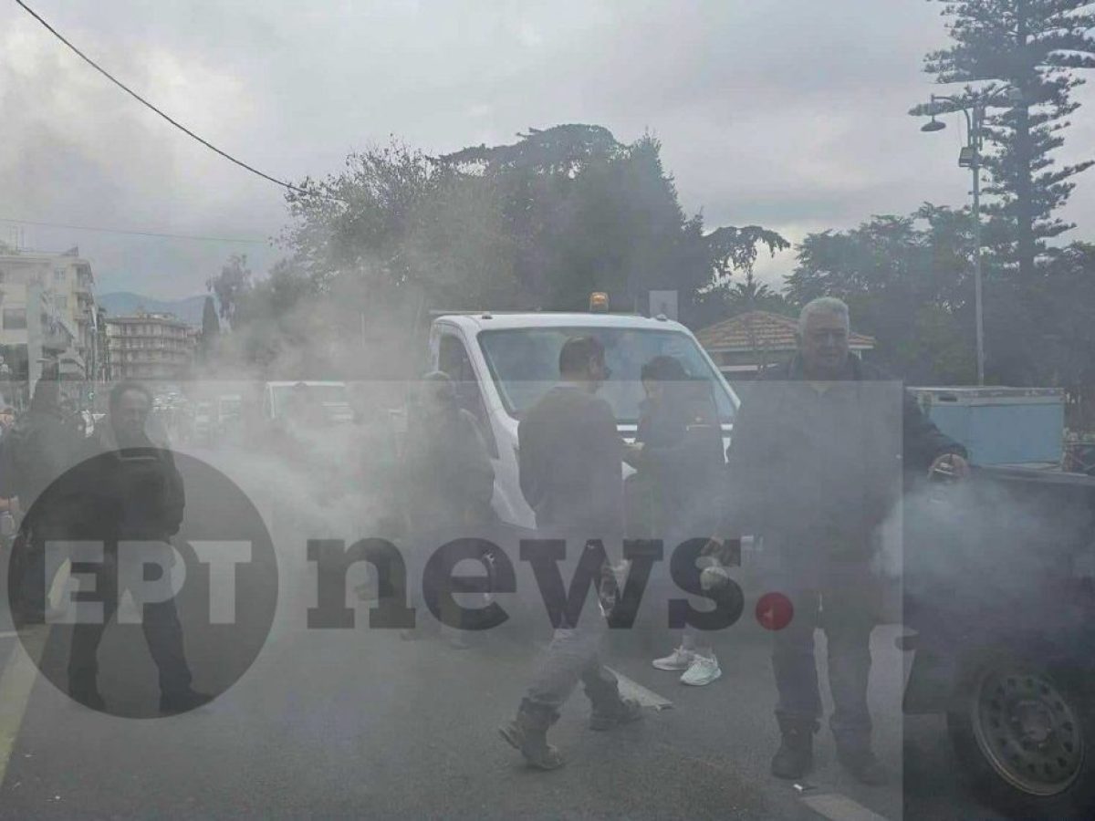 “Μαύρος καπνός” από τους μελισσοκόμους – Ζητούν στήριξη και τροφές για τα μελίσσια