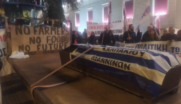 maziki-agrotiki-poria-sta-ioannina