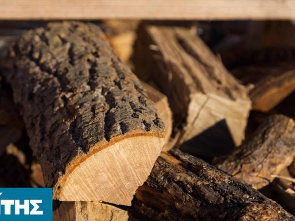 Μαζική ανταπόκριση από τους δικαιούχους στη διανομή ξύλων