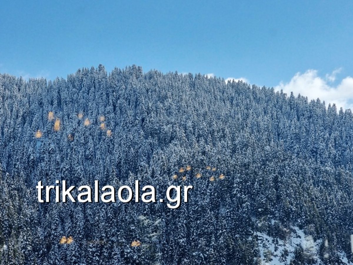 Με αρνητικές θερμοκρασίες ξημέρωσε η Τρίτη σε πόλη και ορεινά των Τρικάλων