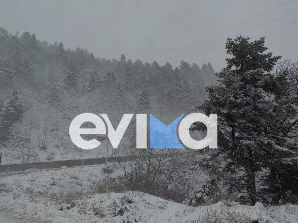 Με χιόνια και τσουχτερό κρύο υποδέχεται η Εύβοια το 2026!