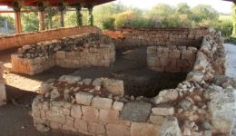 megali-episkepsimotita-ston-archeologiko-choro