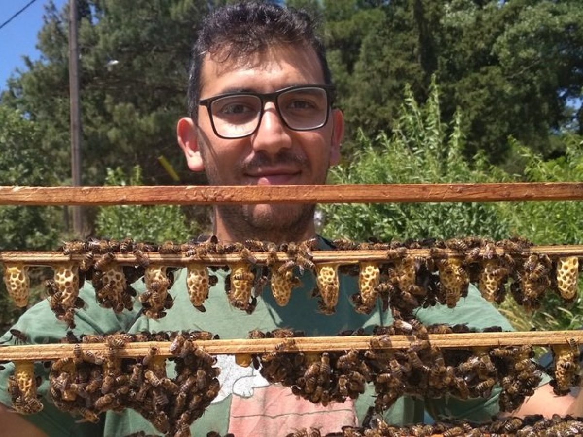 Μελισσοκόμοι: «Πολλά τα ανοιχτά ζητήματα μετά την συνάντηση με τον Πρωθυπουργό»