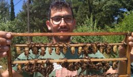 melissokomi-polla-ta-anichta-zitimata-meta-tin-sinantisi