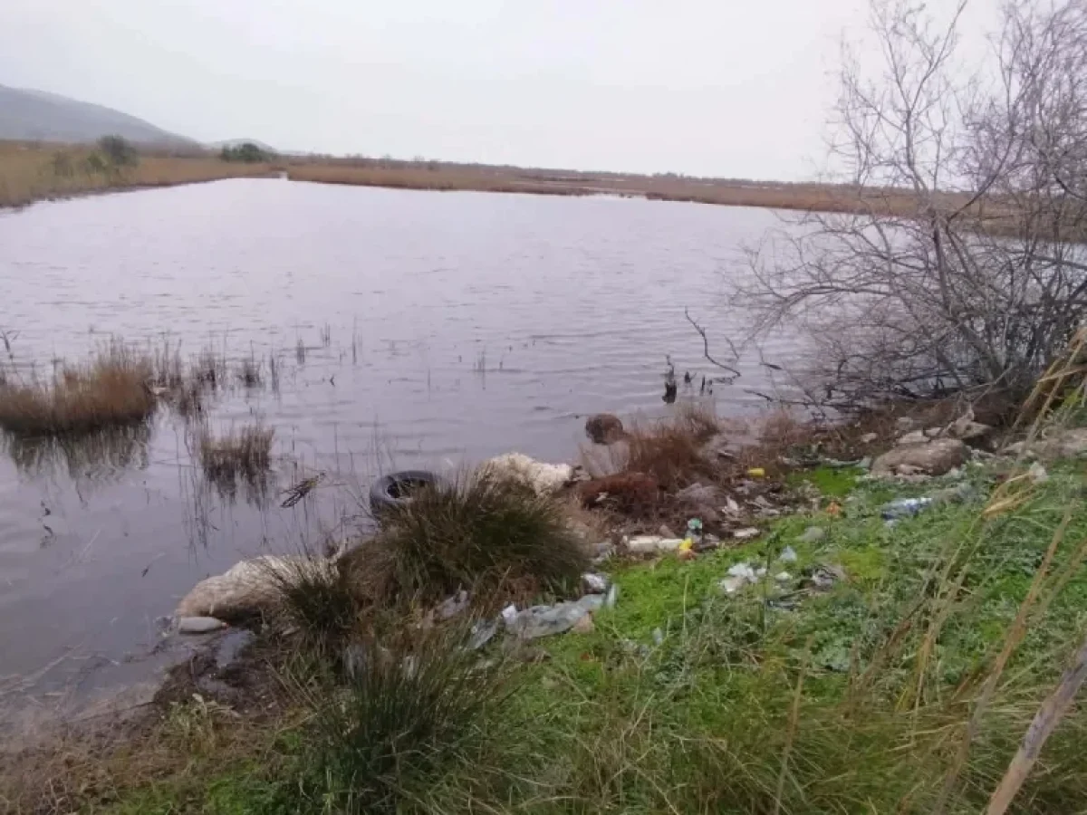 Μεσολόγγι: Απομακρύνθηκαν τα νεκρά ζώα από τα αποστραγγιστικά αυλάκια- Επικίνδυνες πρακτικές, σοβαροί κίνδυνοι για το περιβάλλον