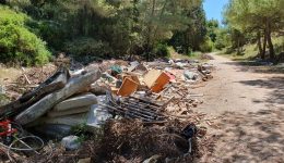 messinia-skoupidia-ke-achrista