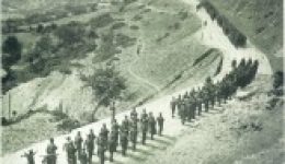 mia-antapokrisi-gia-ti-zoi-2