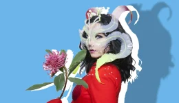 minima-tis-Bjork-sti-grilandia