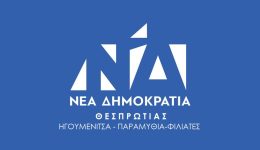 nea-dimokratia-thesprotias-i-1