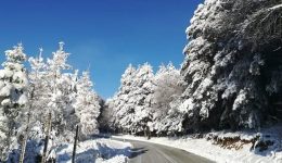 nea-enimerosi-pou-chriazonte-antiolisthitikes