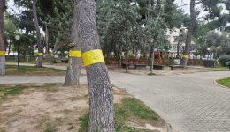 nea-ionia-&ndash;-prosochi-min-2