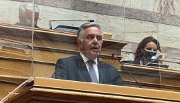 nea-kinovouleftiki-paremvasi-tou-vasili-1