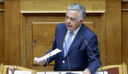 nea-kinovouleftiki-paremvasi-tou-vasili