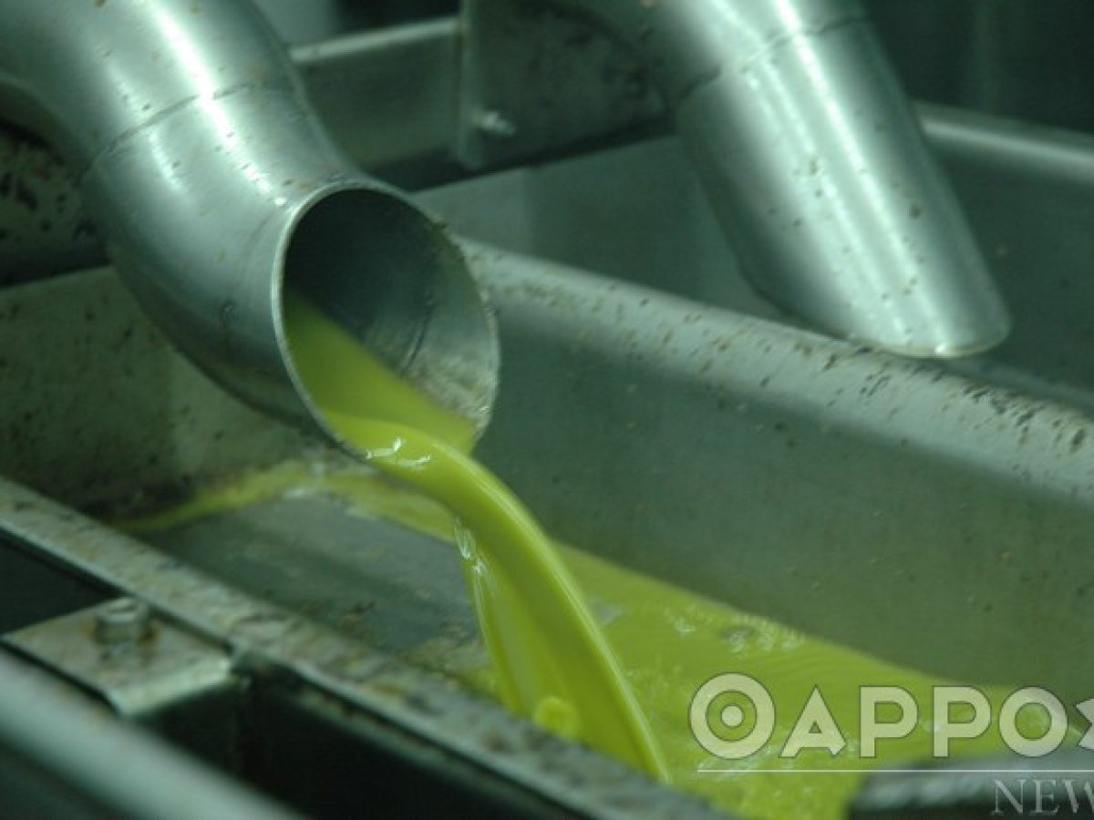 Νέα Πελοπόννησος: «Έγκλημα ο διπλασιασμός των εξαγωγών ελαιολάδου χωρίς δασμούς από την Τυνησία στις χώρες της Ε.Ε.»