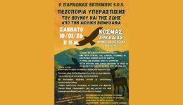 nea-pezoporia-iperaspisis-tou-vounou