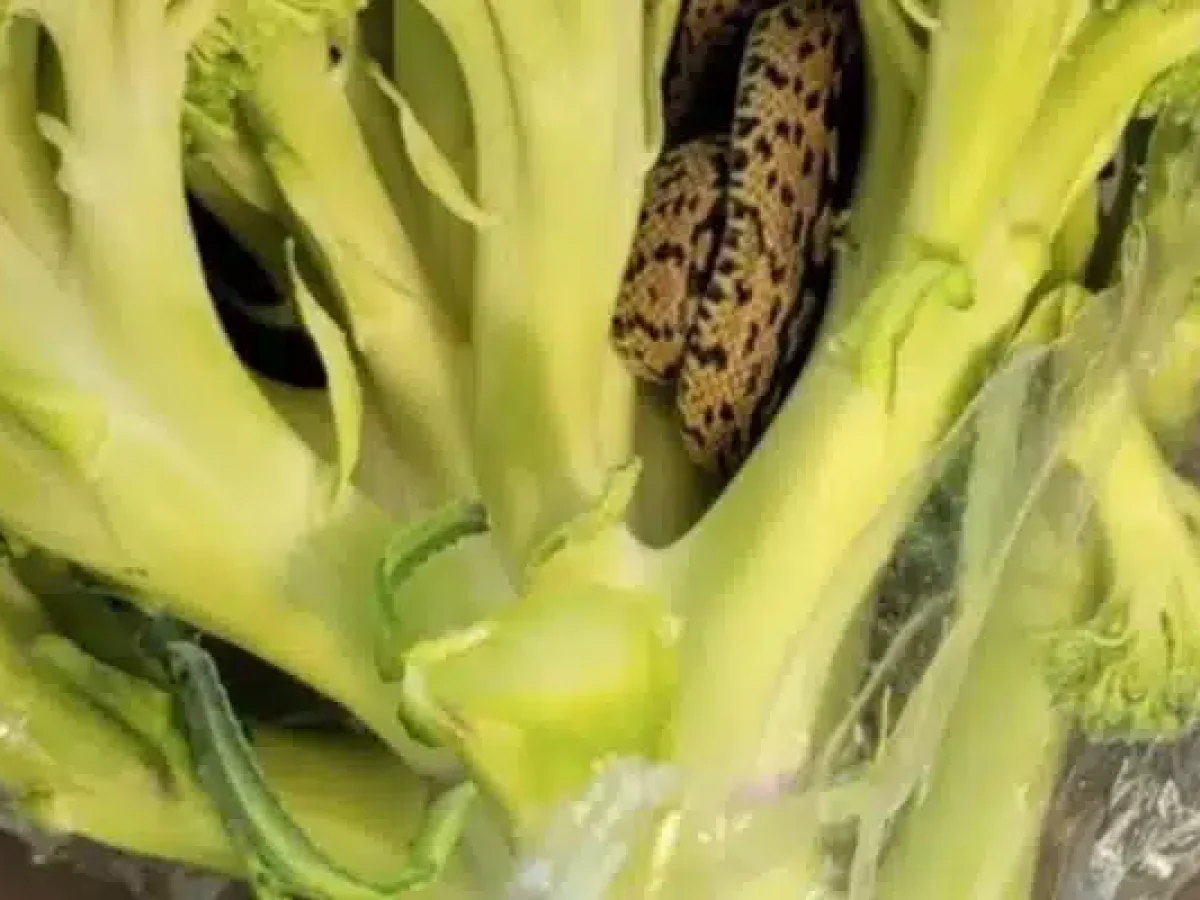 Νέα Αρχή Ρόδου: “Η κατάργηση των Σχολικών Επιτροπών και τα σχολεία της Ρόδου επιφέρει περισσότερη γραφειοκρατία και λιγότερη στήριξη!”