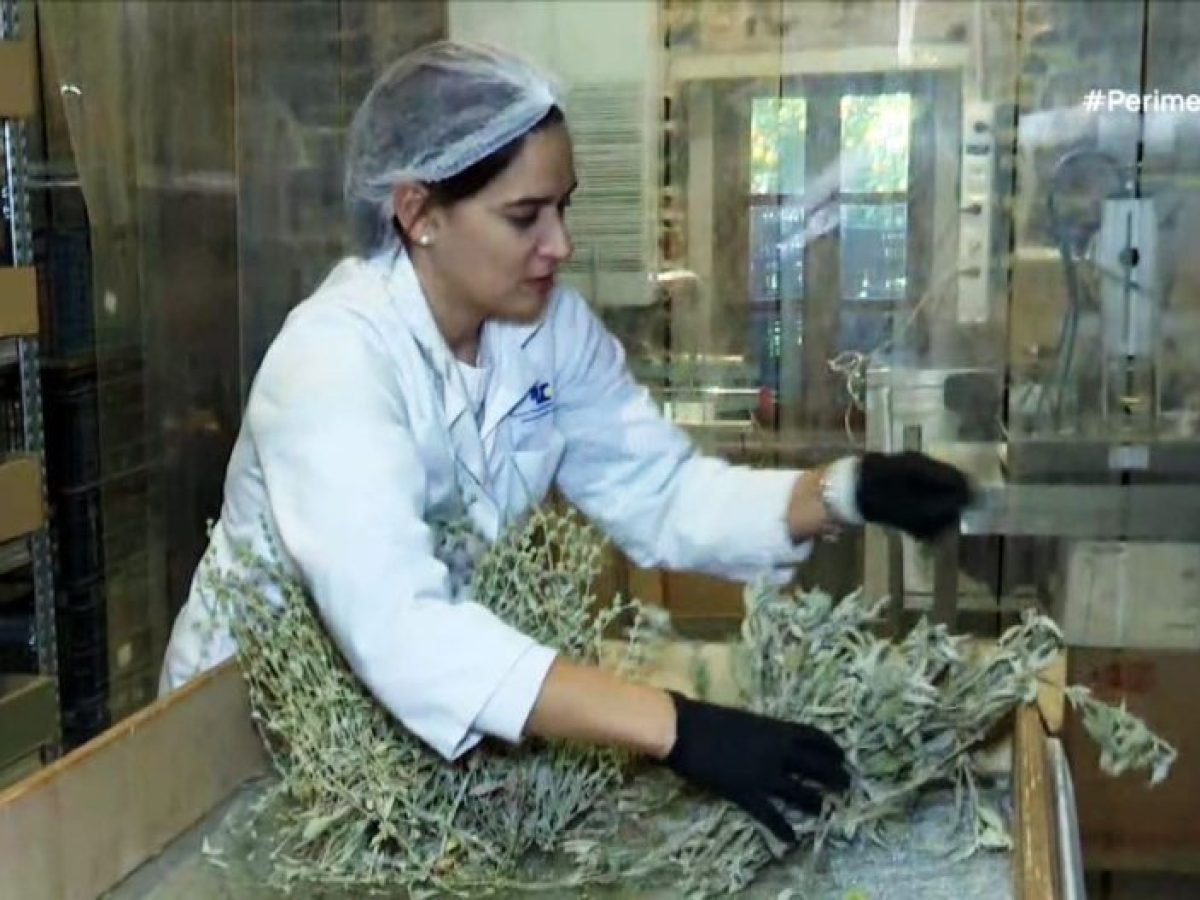 Νέο προϊόν για αφεψήματα σε κύβους από την Αργυρώ