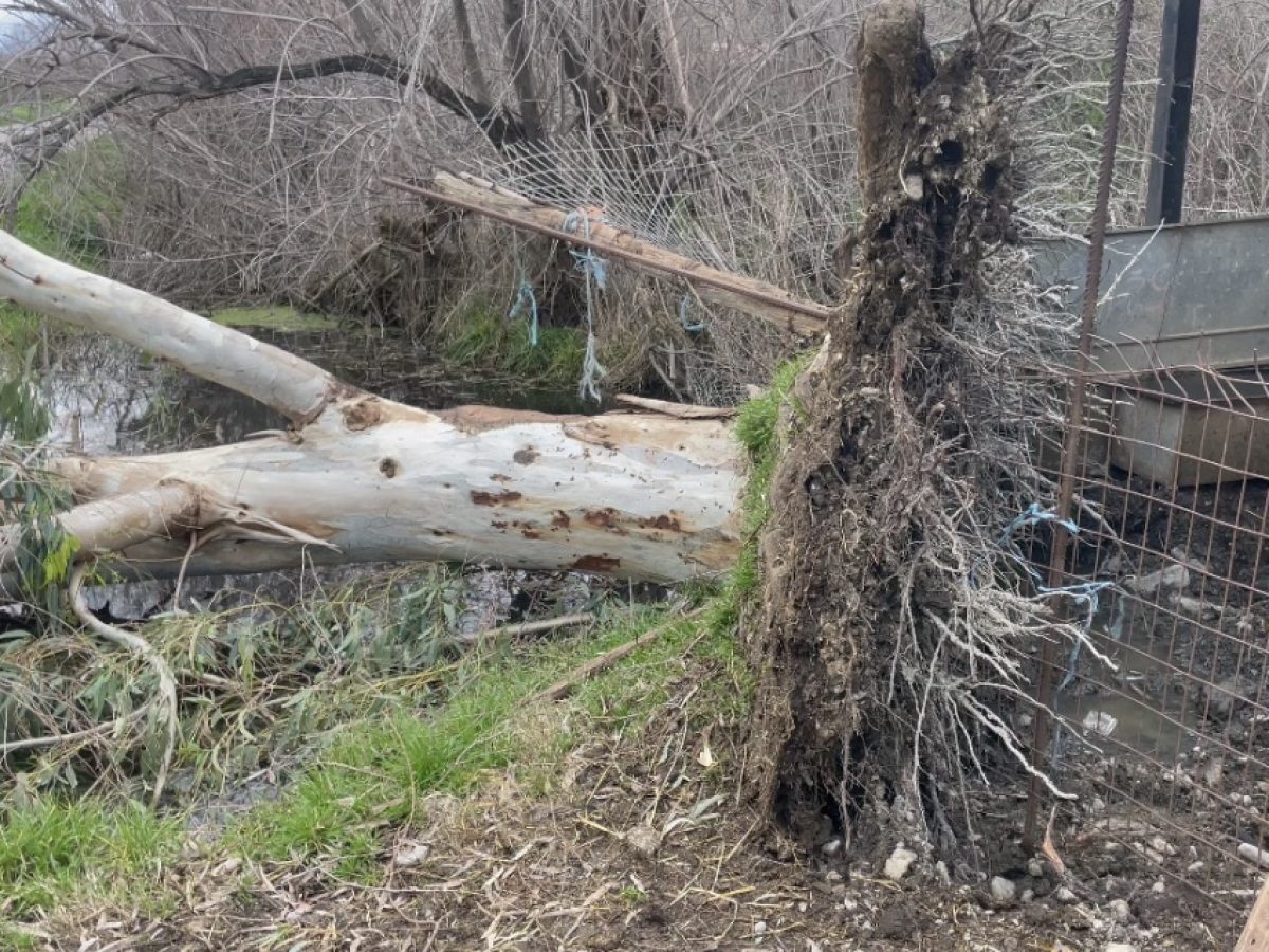 Ο Δήμος Αμφιλοχίας μετρά ήδη πληγές λόγω κακοκαιρίας – Στο σκοτάδι ήδη για 7 ώρες το Αμπελάκι