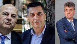 o-evropeos-epitropos-georgias-dikeoni-2