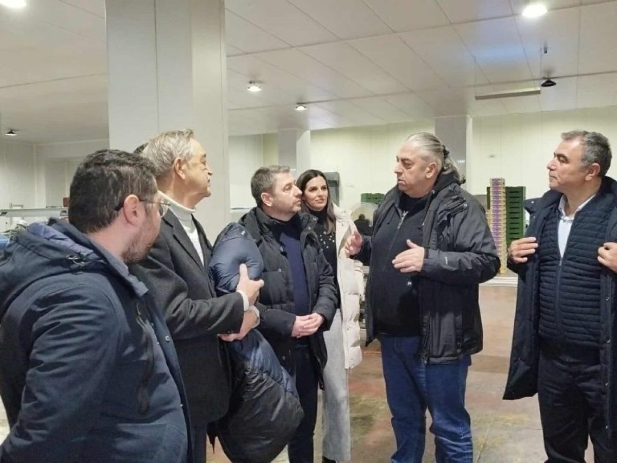 &Omicron; &Nu;. &Alpha;&nu;&delta;&rho;&omicron;&upsilon;&lambda;ά&kappa;&eta;&sigmaf; &sigma;&epsilon; &alpha;&gamma;&rho;&omicron;&tau;&iota;&kappa;&omicron;ύ&sigmaf; &sigma;&upsilon;&nu;&epsilon;&tau;&alpha;&iota;&rho;&iota;&sigma;&mu;&omicron;ύ&sigmaf; &sigma;&tau;&omicron; &Beta;&epsilon;&lambda;&beta;&epsilon;&nu;&tau;ό: &ldquo;&Tau;&omicron; &Pi;&Alpha;&Sigma;&Omicron;&Kappa; &delta;&epsilon;&nu; &sigma;&tau;&eta;&rho;ί&zeta;&epsilon;&iota; &tau;&eta; &sigma;&upsilon;&mu;&phi;&omega;&nu;ί&alpha; Mercosur&rdquo;