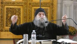 o-p.-evangelos-papanikolaou-sti