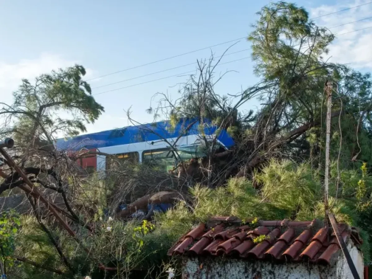 «Ο Θεός με γλίτωσε» λέει ο μηχανοδηγός του τρένου που καταπλακώθηκε από μεγάλο δέντρο στον Πύργο