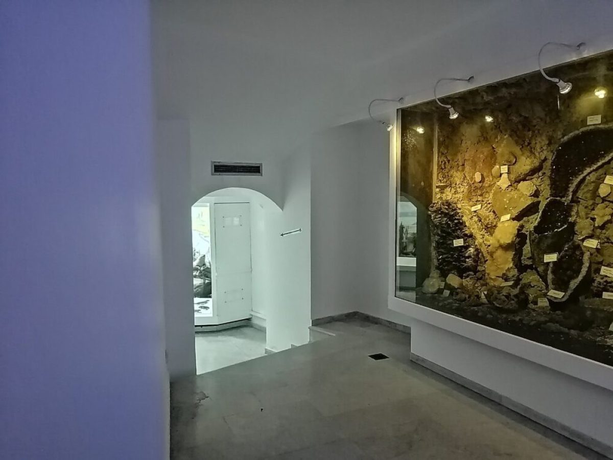 Ολοκληρώθηκαν οι εργασίες εκσυγχρονισμού στο Ιστορικό Λαογραφικό και Μουσείο Φυσικής Ιστορίας