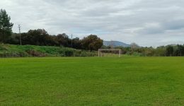 orgi-ston-&Alpha;o-pentalofou-gia