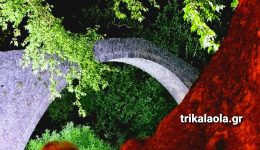 orismos-amisthou-idikou-simvoulou-dimarchou-2
