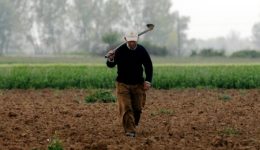 otan-gia-tous-agrotes-den