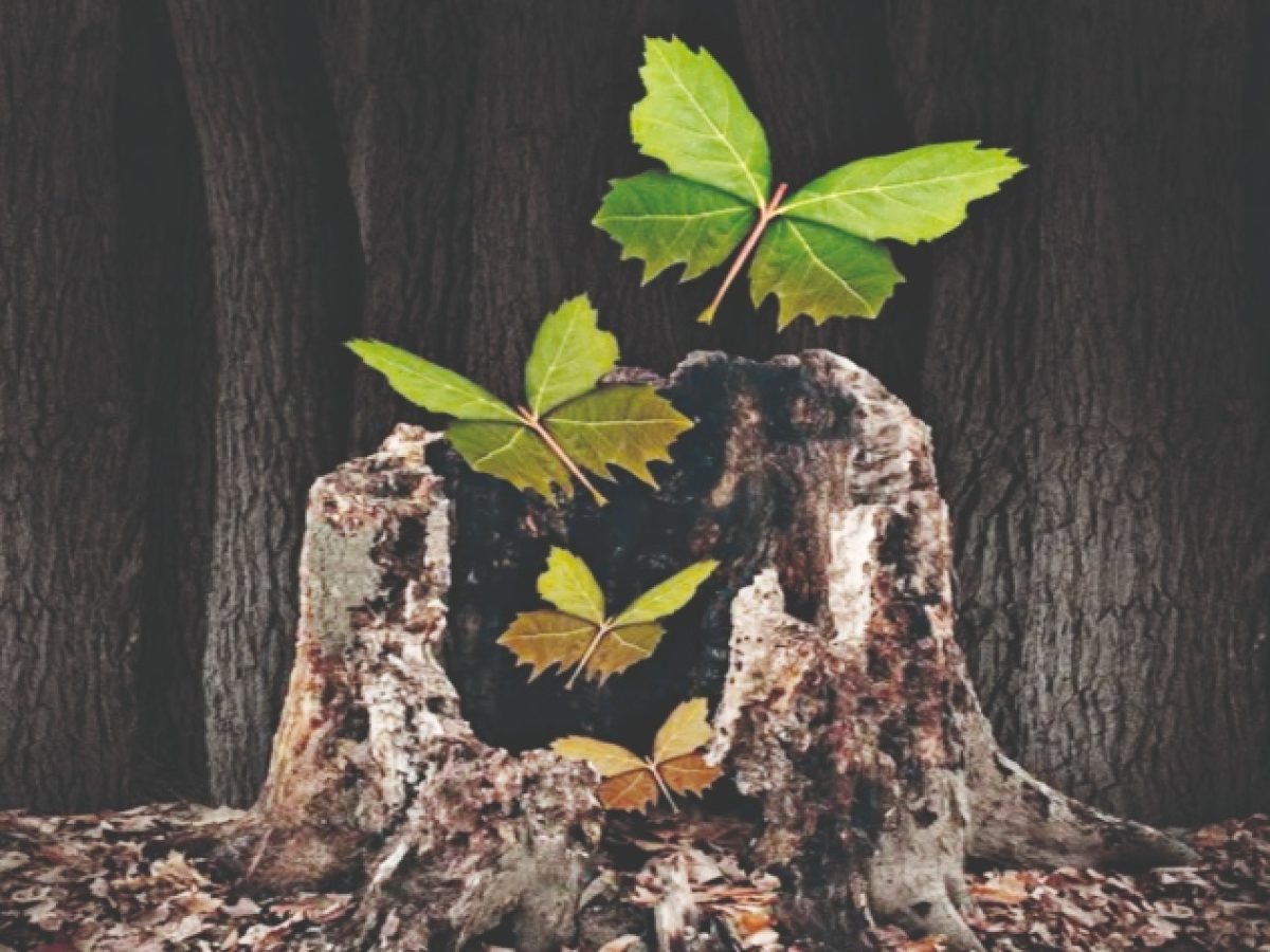 Όταν ήρθε η κρίση…