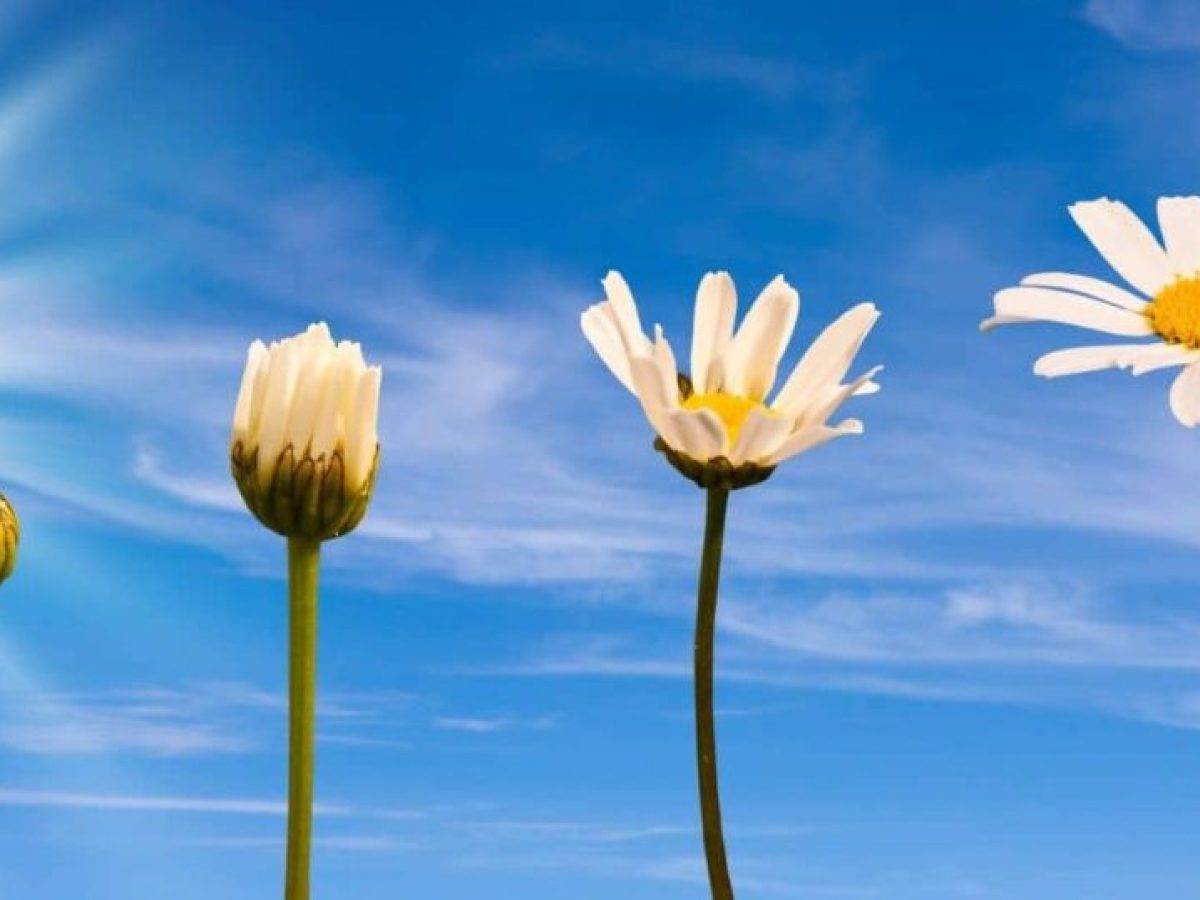 Όταν το “νέο έτος”, “νέοι στόχοι” γίνετε βάρος αντί για δημιουργικότητα