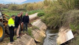 p.e.-messinias-aftopsia-Αnastasopoulou-se