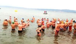 palirria-stin-plaz-kalamarias-kolimvitikos