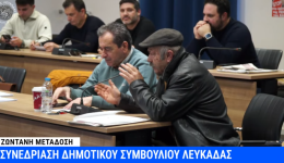 paremvasi-ilia-kourti-gia-zimies