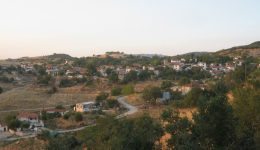 paremvasi-tis-ne-trikalon-tee