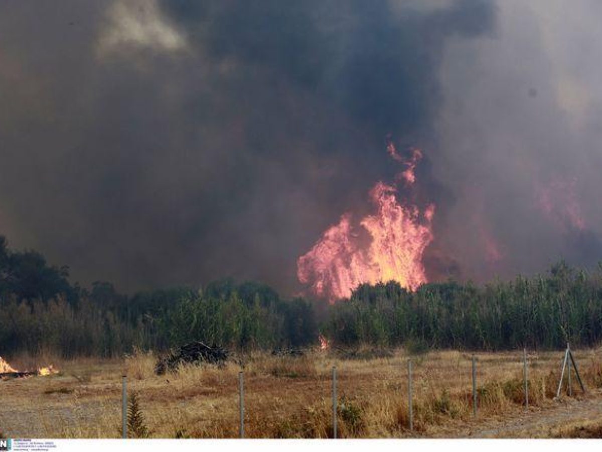 Παρέμβαση Βέρρου για αποζημίωση των καμένων στη Βρίσα και Βατερά