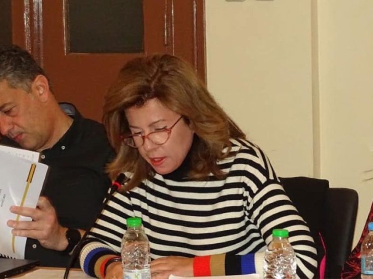 Παρέμβαση Άννας Παππά για τις θέσεις στάθμευσης ΑμεΑ. Κατεπείγουσα εισήγηση στο Δημοτικό Συμβούλιο Χαλκιδέων