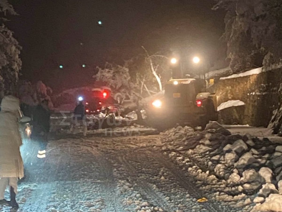 Παρουσία της Αντιπεριφερειάρχη κας Ντιντή – Άμεση απομάκρυνση δέντρου από το οδικό κύκλωμα των Μετεώρων