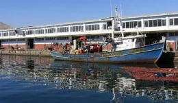 patra-imivithisi-alieftikou-skafous-stin