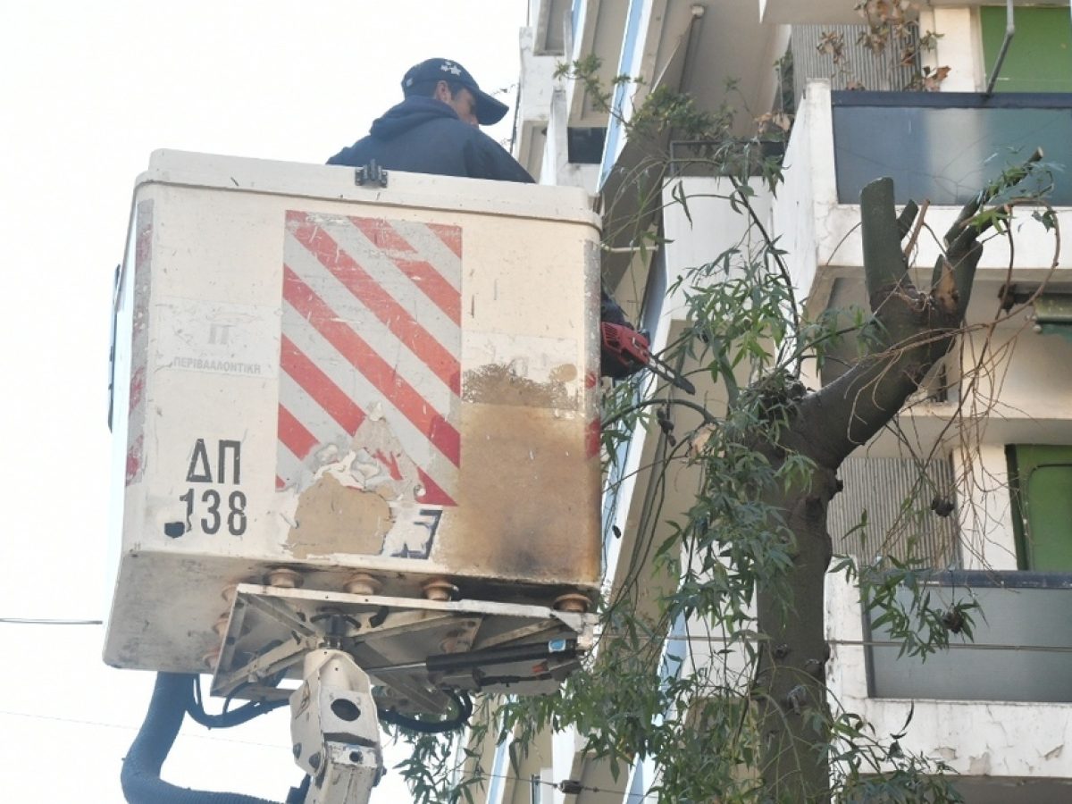 Πάτρα: Κλάδεμα δέντρων στην Έλληνος Στρατιώτου