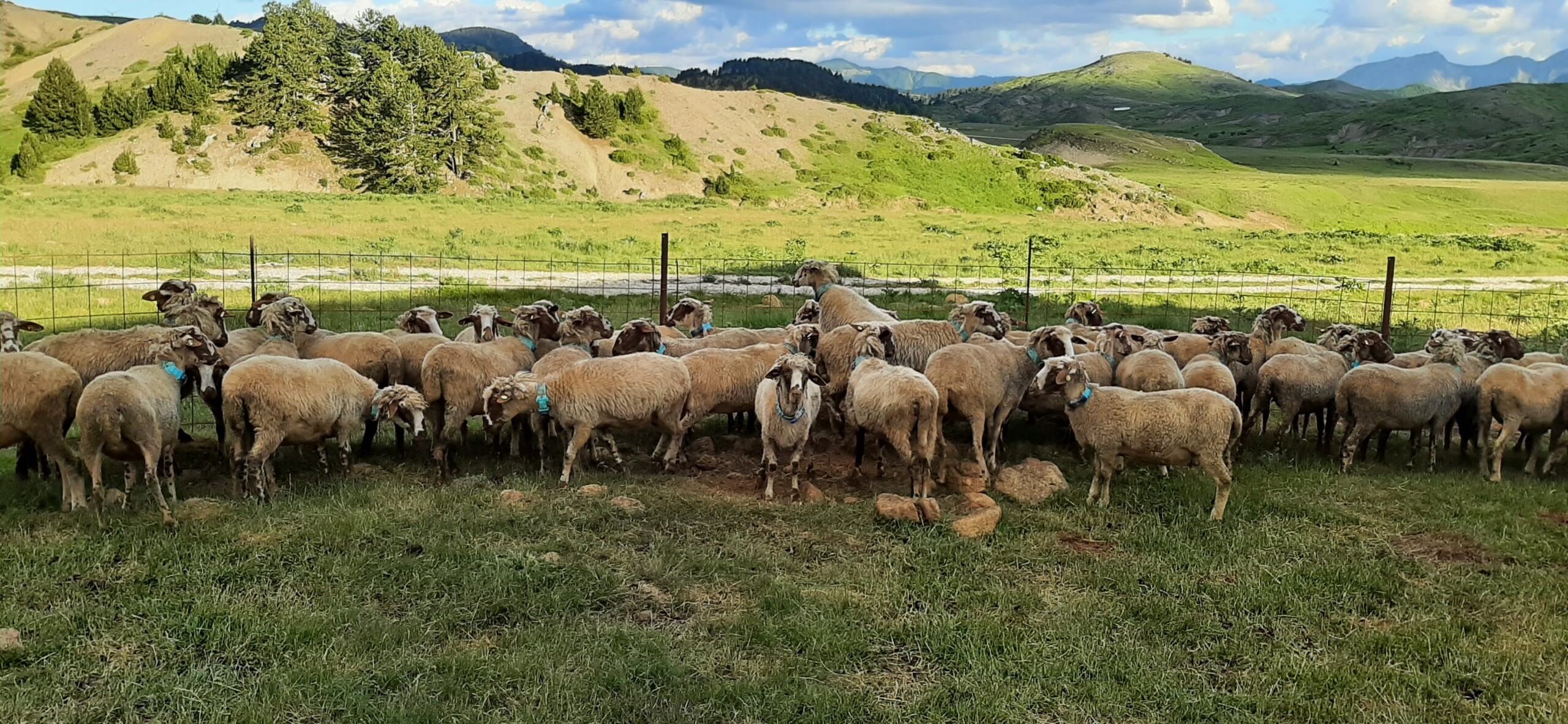 periferia-ipirou-enimerosi-gia-ton